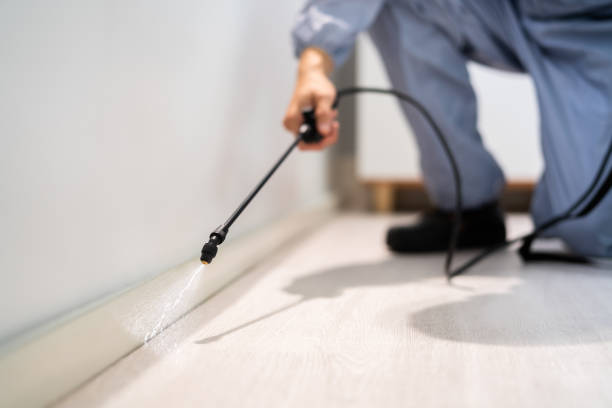 Licensed Termite Control service in Northampton County County, VA - Nex Pest Control