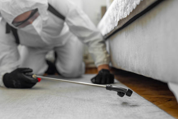 Professional Termite Control technician working in Northampton County County, VA
